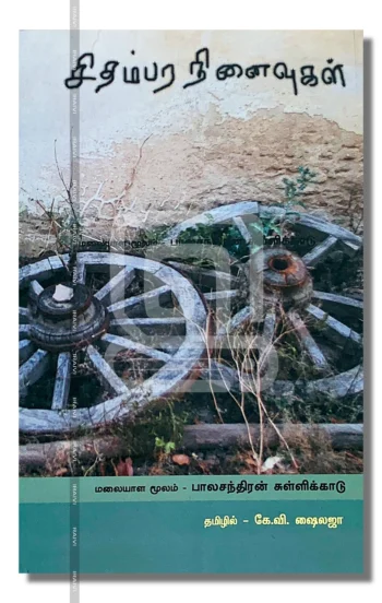 சிதம்பர நினைவுகள்